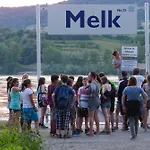 Junges Melk